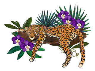 Obraz premium Jungle, animals exotic illustrations of tiger leopard, palm leaves, tropical leaves, orchid purple violet color and branch foliage Drawings element