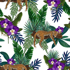 Fototapeta premium Jungle, animals exotic illustrations of tiger leopard, palm leaves, banana leaves, tropical leaves, orchid purple violet color and branch foliage Drawings for print, fashion
