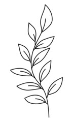 Vector twig with leaves in a minimalist style. Sprig isolated on white background. Floral elements. Hand-drawn botany. Vector elements for textile design and typography