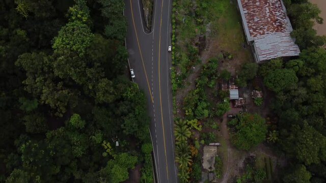 Carreteras en la Selva en Chanchamayo, Peru.