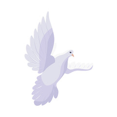 White pigeon dove flying isolated on white background. Peace symbol.