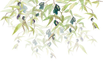 Fototapeta na wymiar Digital wallpaper with olive branches on a white background. Watercolor drawing olive tree
