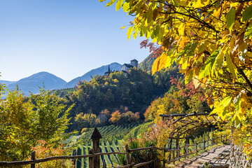 Marlinger Waalweg mit Herbstlaub / Südtirol Bozen