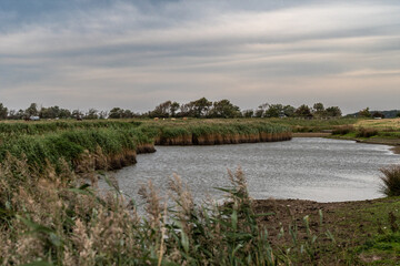 Landschaft hinterm Deich