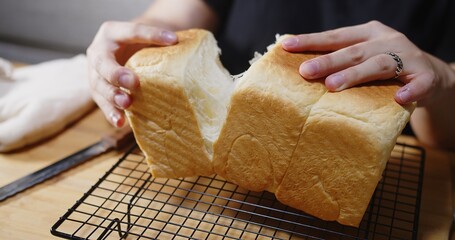 Woman hands breaking Fresh homemade Baked Japanese Soft and Fluffy Bun loaf of Bread or shokupan bread, Popular as Hokkaido Milk Bread at home kitchen	
