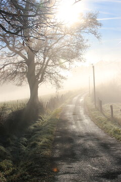 Route dans la brume matinale.