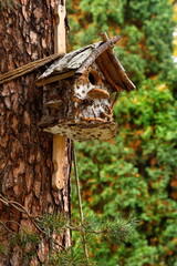 Russia. Moscow. A birdhouse made of birch bark, installed on the trunk of a pine tree in Ostankino Park.