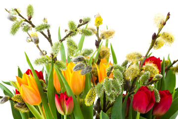 tulips and willow for easter on white background