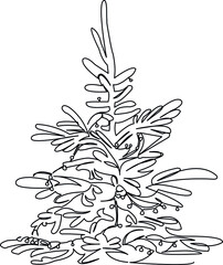 christmas tree with garland