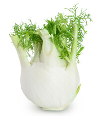 fresh fennel bulb isolated on white background with clipping path and full depth of field