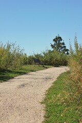 path in the park