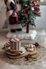 Tasty hot chocolate cocoa with marshmallows in a white mug with cookies and cinnamon. Winter Christmas concept