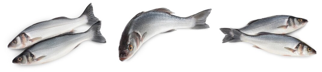 Sea bass fich isolated on white background. Top view. Flat lay. Set or collection