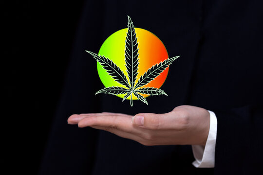 Marijuana  for medical and business concept .hand holds drawn cannabis leaf on rainbow circle