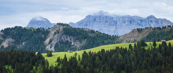 The pastures and meadows of the Trentino Dolomites, seen from Passo delle Erbe - August 2021