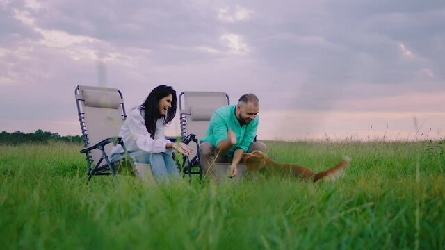 Amazing sky view at the picnic beautiful couple playing with their cute small dog English cocker spaniel they enjoy the time at nature in the middle of field. Shot on ARRI Alexa Mini.