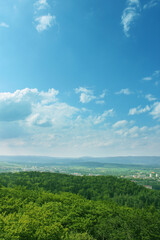 Grass and trees on blue sky