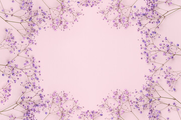 banner with flowers gypsophila on a pink background