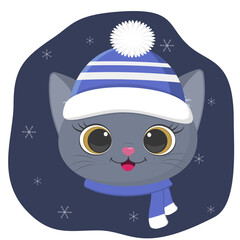 A cute kitten of the British breed is dressed in a hat and a scarf in winter. Against the background of the night sky and snowflakes.