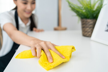 Asian cleaning service woman worker cleaning in living room at home. 