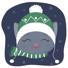 A cute kitten of the British breed is dressed in a hat and a scarf in winter. Against the background of the night sky and snowflakes.