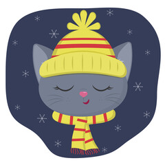 A cute kitten of the British breed is dressed in a hat and a scarf in winter. Against the background of the night sky and snowflakes.
