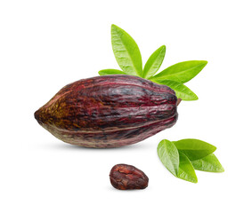 Cocoa pod, fresh cocoa fruit with leaves isolated on white background.