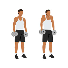 Man doing Dumbbell shrugs exercise. Flat vector illustration isolated on white background - obrazy, fototapety, plakaty