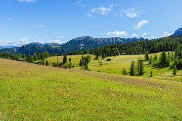 Fototapeta premium The mountain pastures and meadows of Armentara Among the dolomites of val badia, near the village of La villa - August 2021.