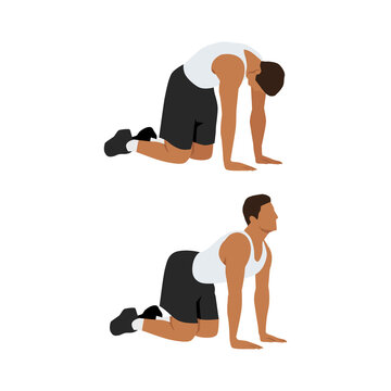 Man doing Cat back. Backward camel stretch exercise. Flat vector illustration isolated on white background