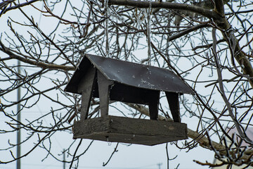 Karmnik dla ptaków, karmnik dla ptaków na drzewie, Karmnik dla ptaków zimą
