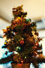 크리스마스 트리