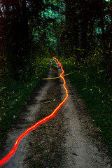 Dirt road in the countryside with fireflies and bicycles lighting up the nighttime.