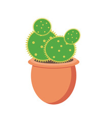 potted cactus decoration