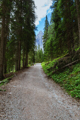 Fototapeta na wymiar A path through the woods and mountains of Val Di funes, in the Italian Dolomites, near the village of Funes, Italy - August 2021.