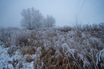 winter, meadow in winter, clearings in winter, forest in winter © Follow the Sun