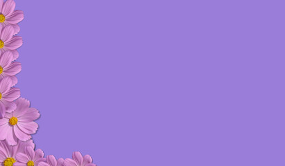 Layout, universe, pink on purple background, use text design and products