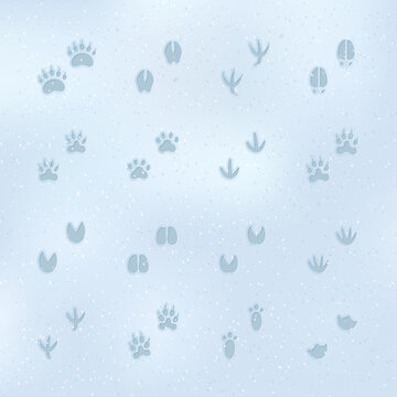 set of animal footprints on the snow