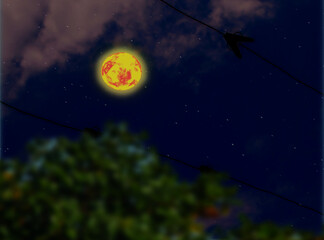 Obraz na płótnie Canvas reddish yellow moon. 3d illustration of nature at night with clear sky and stretch of wire. leaves that look blurry. moon and stars