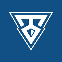 triangular abstract vt logo design