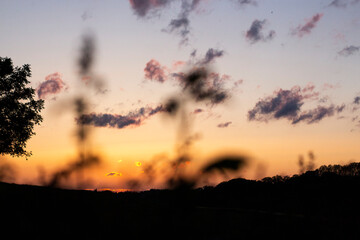 sunset in the sky