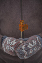 Caramel on a stick figure of a Cockerel in his hands in mittens.