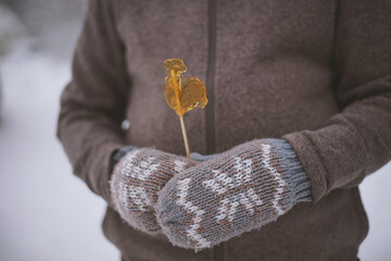 Caramel on a stick figure of a Cockerel in his hands in mittens.
