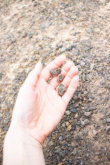 hand holding a stone