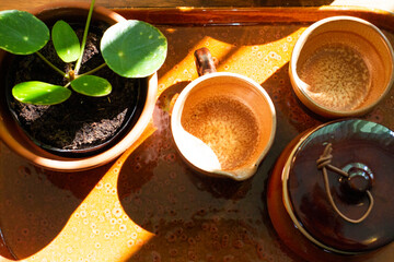 Set of ceramic cups with a pilea plant