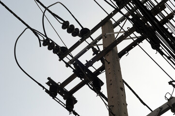 bird on wire