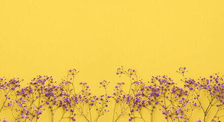 Banner with pink flowers gypsophila on a yellow background.