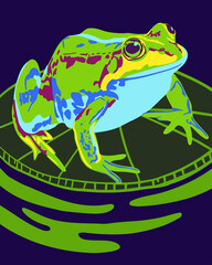 Colorful frog portrait in pop art style. Abstract, hand-drawn, multi-colored portrait of frog. For fabric, textile, clothing, wrapping paper, wallpaper, stickers, poster t-shirt design. 