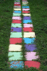 color plate on grass