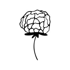 Abstract leaves and flowers doodle set vector illustration